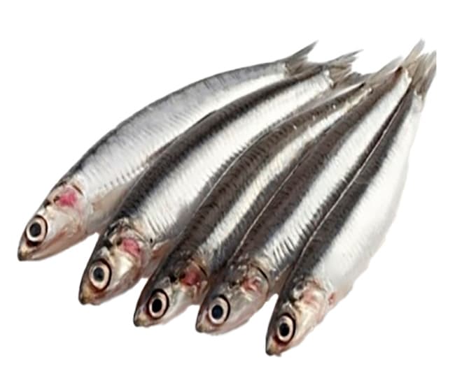 Boquerón pieza entera