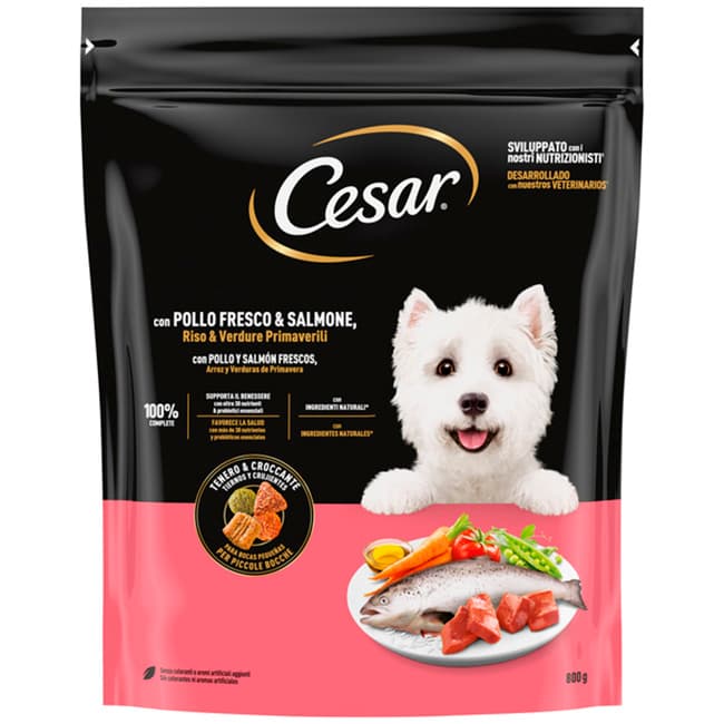 Cesar pienso seco de perro pollo y salmón 800 g