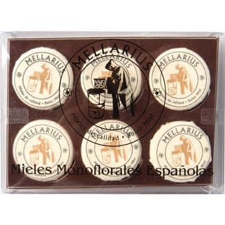 Mieles monoflorales españolas eucalipto, brezo, tomillo, romero, espliego y azahar 6x40g 240 g - Mellarius