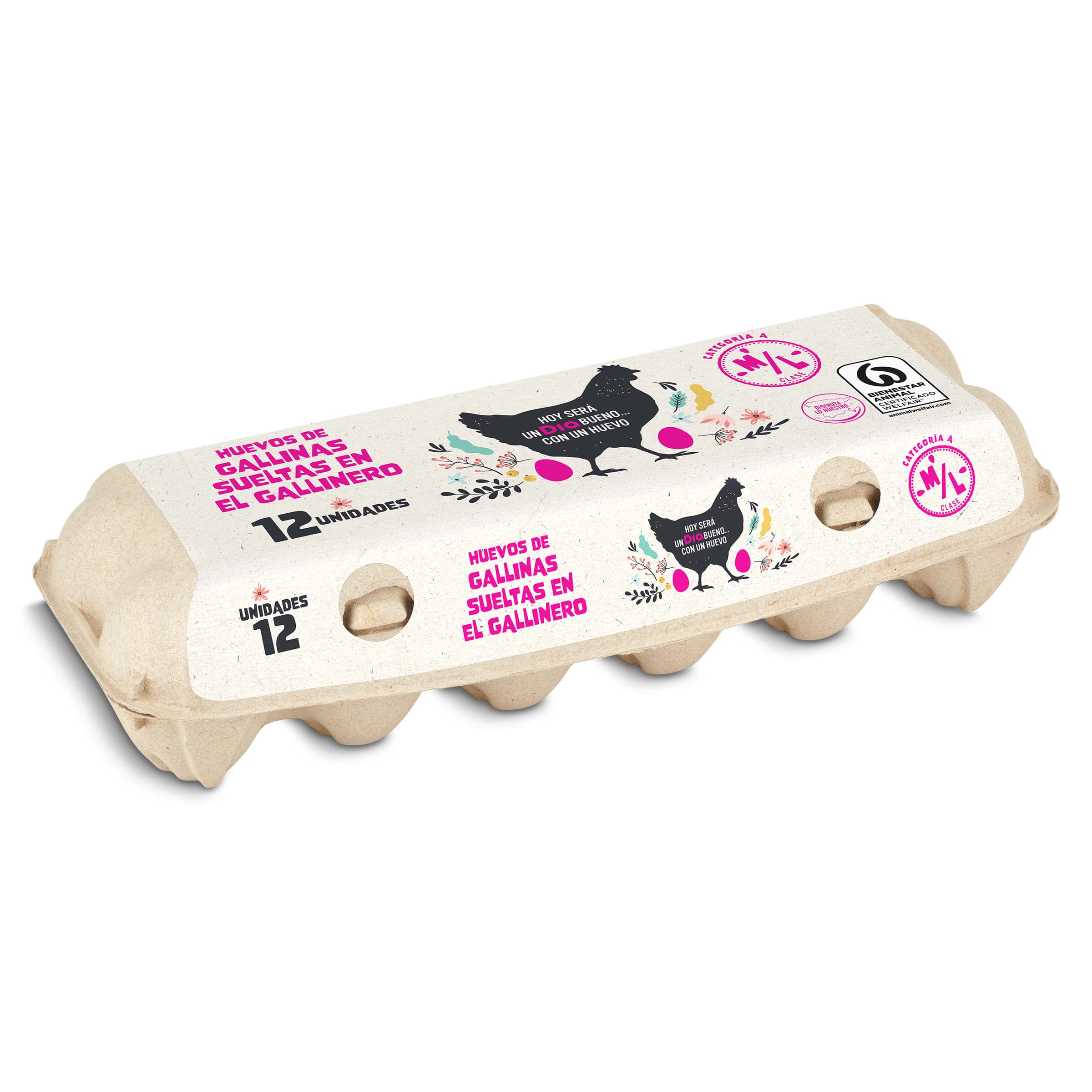 Huevos medianos/grandes M/L de gallinas criadas en el suelo Dia 12 unidades