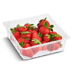 Fresa bandeja 400 g