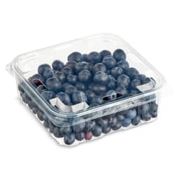 Arándanos 450 g