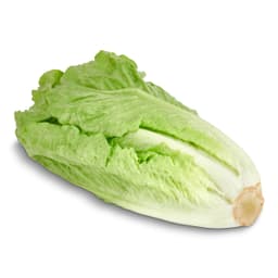Corazón de lechuga romana unidad