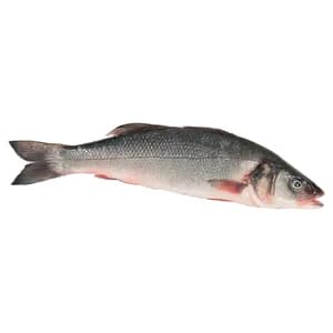 Lubina mostrador