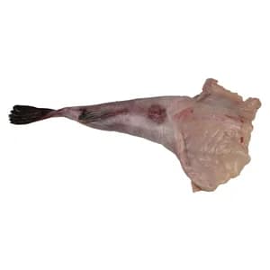 Rape cola mediana mostrador