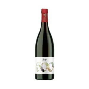 PETRITEGI Edición 500 Sidra natural con D.O. Euskal sagardoa botella 75 cl.