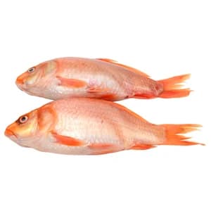 Salmonete limpio