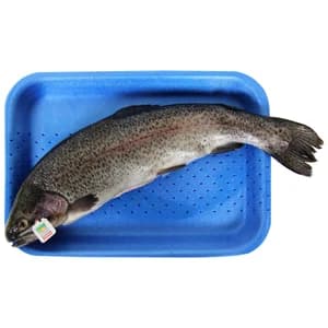 Trucha asalmonada (eviscerada)