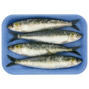 Sardinas