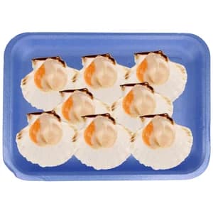 Vieira media concha 6 uds.