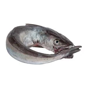 Merluza volanta mostrador. - Entera limpia