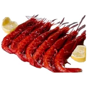 Carabineros