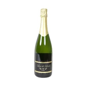 LAR DE LARES Cava semiseco botella 75 cl.